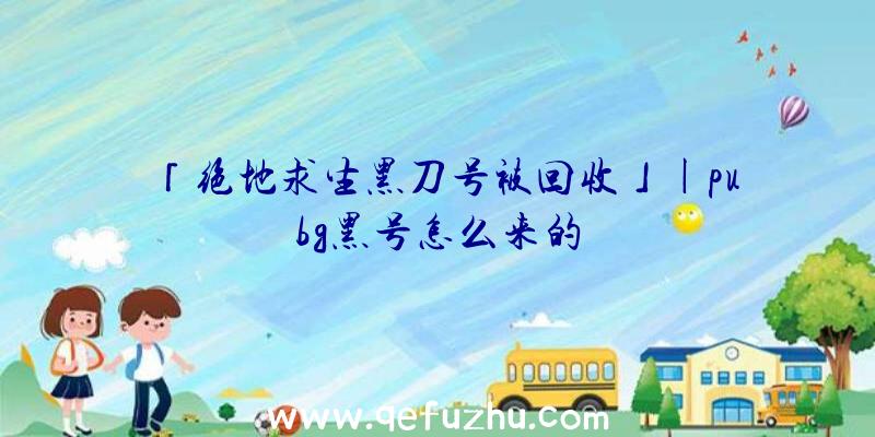 「绝地求生黑刀号被回收」|pubg黑号怎么来的